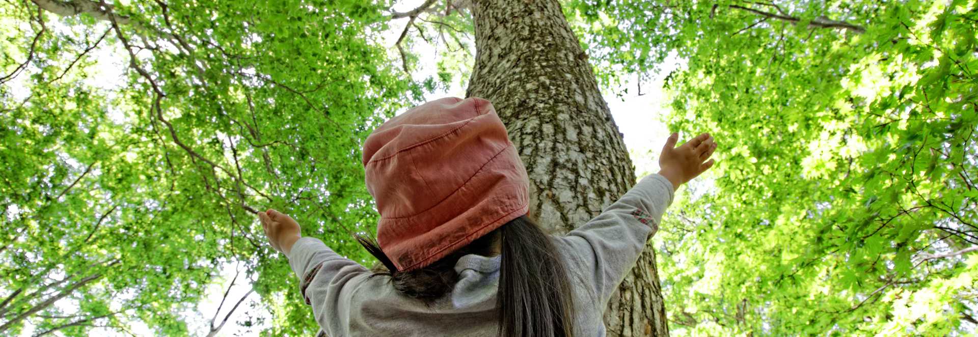 young girl with arms raised looking up at the forest canopy
