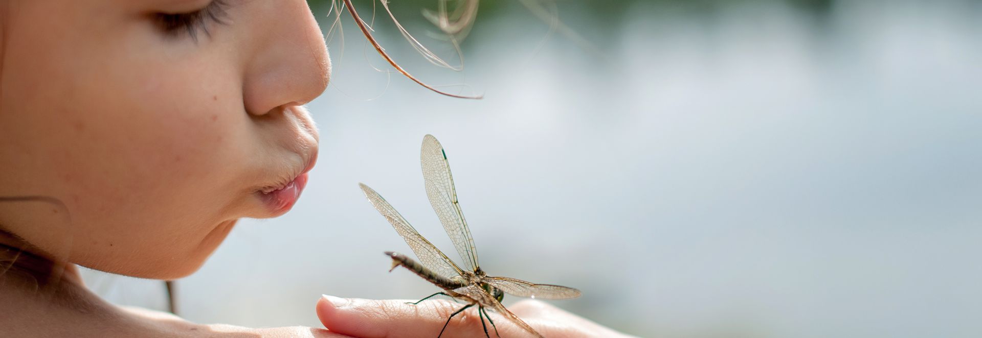 young girl with dragonfly on her finger